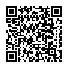 To view this 2011 Ford E-Series Wagon Rapid City SD from Black Hills Auto Sales | Rapid City SD | Sturgis SD | Spearfish SD | Gillette WY, please scan this QR code with your smartphone or tablet to view the mobile version of this page.