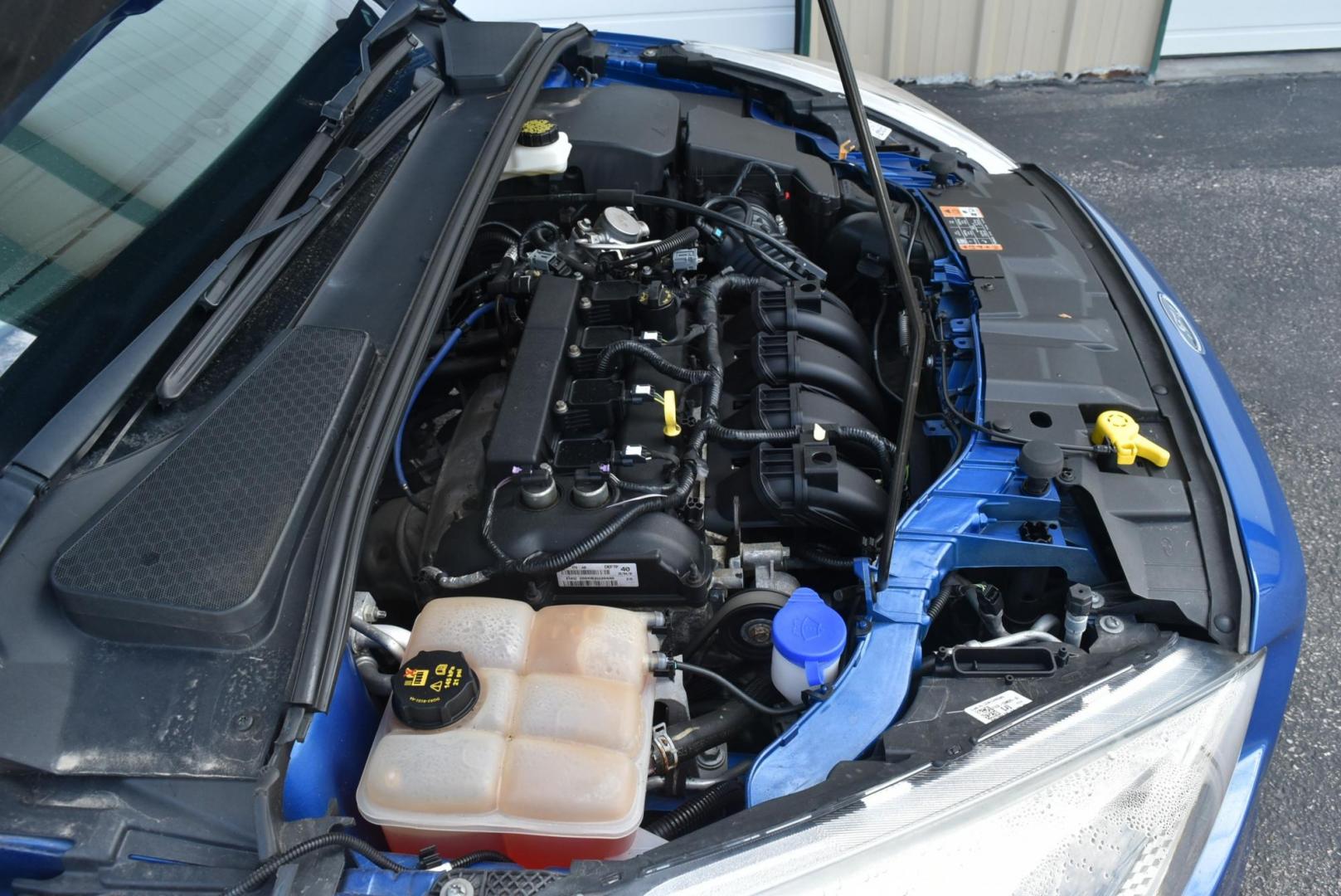 2018 Blue /Black Ford Focus SE (1FADP3F23JL) with an 2.0L L4 DOHC 16V engine, 6-Speed Automatic transmission, located at 1600 E Hwy 44, Rapid City, SD, 57703, (605) 716-7878, 44.070232, -103.171410 - Photo#25